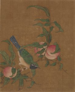 アプリコットの枝に鳥 作： Unbekannt Unbekannt